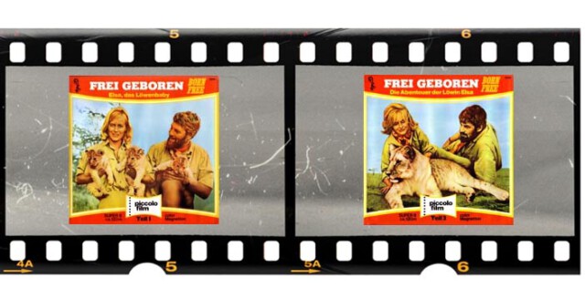 Super 8-Cover Frei geboren